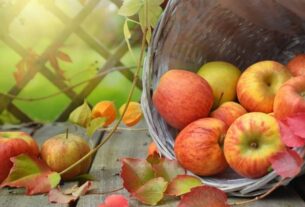 Ritual da Manhã Bem-Estar