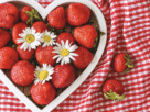 Morango Antioxidante