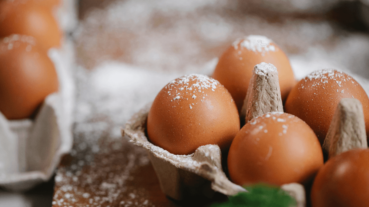 Ovo que Aceleram o seu Metabolismo!