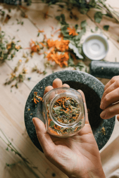 Fitoterapia no Brasil