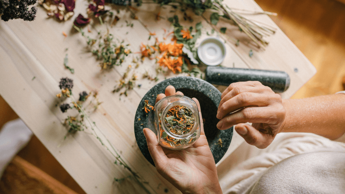 Fitoterapia no Brasil